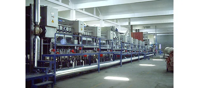 efi mezzera activa